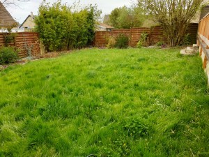 Photo de galerie - Pelouse avant