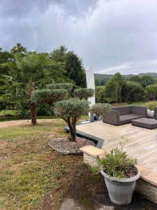 Photo de galerie - Taille d'olivier et nettoyage de terrasse a proximité de Limoges 