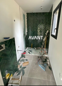 Photo de galerie - Salle de bain avant