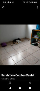 Photo de galerie - Garde d'animaux 