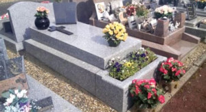 Photo de galerie - Visite de contrôle