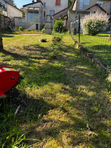 Photo de galerie - Grignotage de souches 