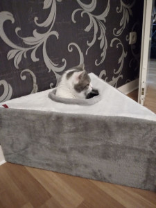 Photo de galerie - Disponible toute l année si besoin..