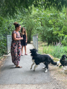 Photo de galerie - Services pour vos animaux (promenades, visites à domicile) sur demande 