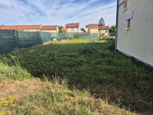 Photo de galerie - Tonte de pelouse - Débroussaillage