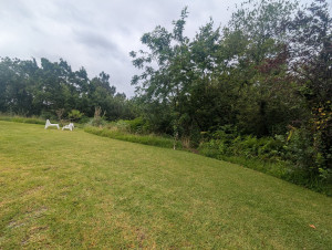 Photo de galerie - Entretien de jardin : gestion différenciée 