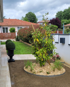 Photo de galerie -  Création gazon, plantation et massifs avec bordures
