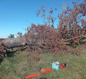 Photo de galerie - Je propose mais services 