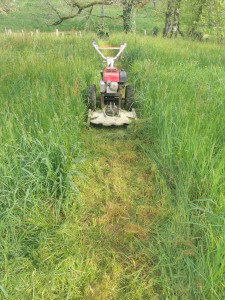 Photo de galerie - Tondeuse débroussailleuse