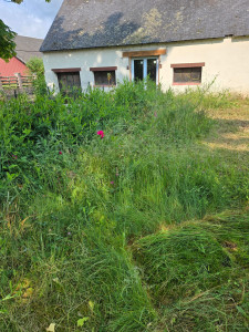 Photo de galerie - Gros debroussaillage pour remettre au propre une belle propriété 