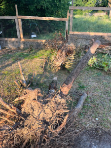 Photo de galerie - Dépose de souches d’arbres 