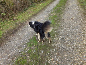 Photo de galerie - Une promenade