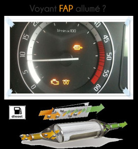 Photo de galerie - Régénération de fap