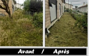 Photo de galerie - Tonte de pelouse - Débroussaillage
