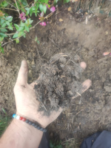 Photo de galerie - Jardinier