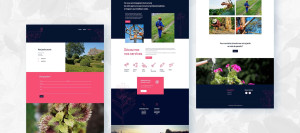 Photo de galerie - Site dynamique sous CMS WordPress pour un Paysagiste. Nous avons conçu le design, l'architecture, la rédaction des textes. Nous avons configuré le mode responsive (PC, tablette et smartphone), la sécurité et paramétré le référencement. 