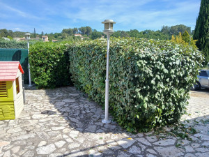 Photo de galerie - Taille haie 