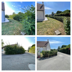 Photo de galerie - Taille de haies et d'arbustes