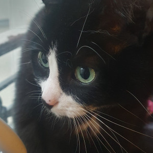 Photo de galerie - Prise en charge chez moi ou visite à votre domicile 