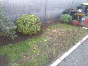 Photo de galerie - Jardinier