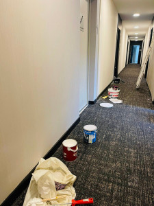 Photo de galerie - Reprise de peinture total d'hôtel sur la région de Tassin la demi Lune 