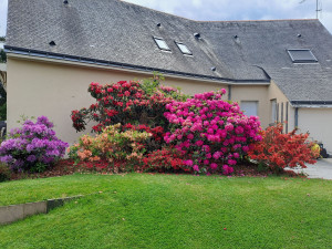 Photo de galerie - Jardinier