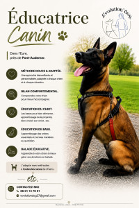 Photo de galerie - Éducatrice canine 
