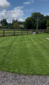 Photo de galerie - Tonte et entretien de pelouse