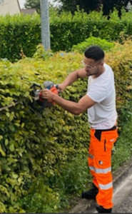 Photo de galerie - Disponibles pour sublimée vos haie et votre jardin