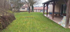 Photo de galerie - Tonte de pelouse sur 300m²