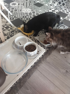 Photo de galerie - Visite à domicile 