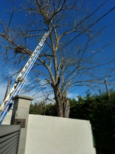 Photo de galerie - Avan