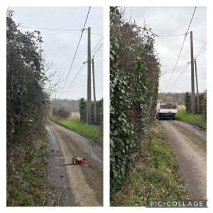 Photo de galerie - Taille de haie avec ramassage 