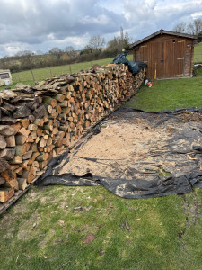 Photo de galerie - Chantier de bois.