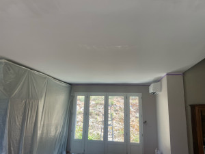 Photo de galerie - Peinture plafond 