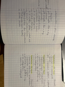 Photo de galerie - Soutien scolaire pour un élève en classe de seconde en préparation de l’épreuve anticipée de français 