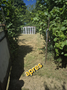 Photo de galerie - Tonte de pelouse - Débroussaillage