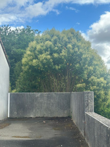 Photo de galerie - Après 