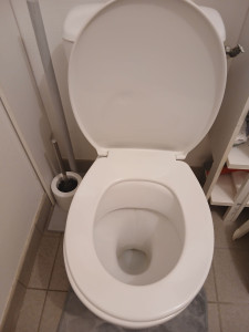 Photo de galerie - Nettoyage wc
