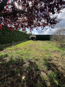 Photo de galerie - Taille de haies et d'arbustes