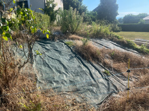 Photo de galerie - Aménagement d un talus