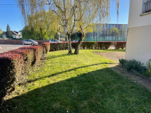 Photo de galerie - Tonte de pelouse - Débroussaillage