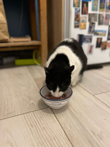 Photo de galerie - Soin diabétique 