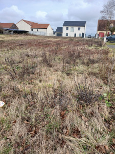 Photo de galerie - Nettoyage d'un terrain pour  construction d'une maison  Avant 