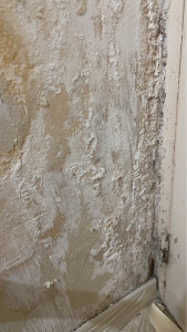 Photo de galerie - Peinture - Tapisserie