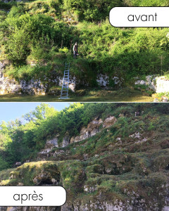 Photo de galerie - Débroussaillage d'une falaise