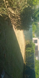 Photo de galerie - .