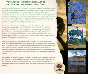 Photo de galerie - Pourquoi choisir un arboriste-élagueur au lieu d'un paysagiste ou d'un jardinier 