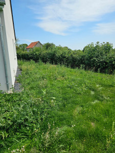 Photo de galerie - Tonte de pelouse - Débroussaillage