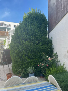 Photo de galerie - Paysagiste - Aménagement du jardin